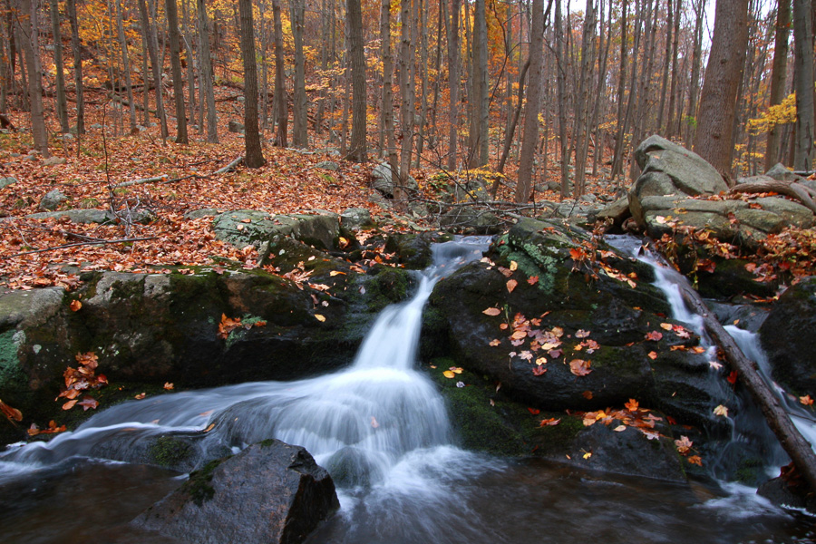 Wanaque Borough